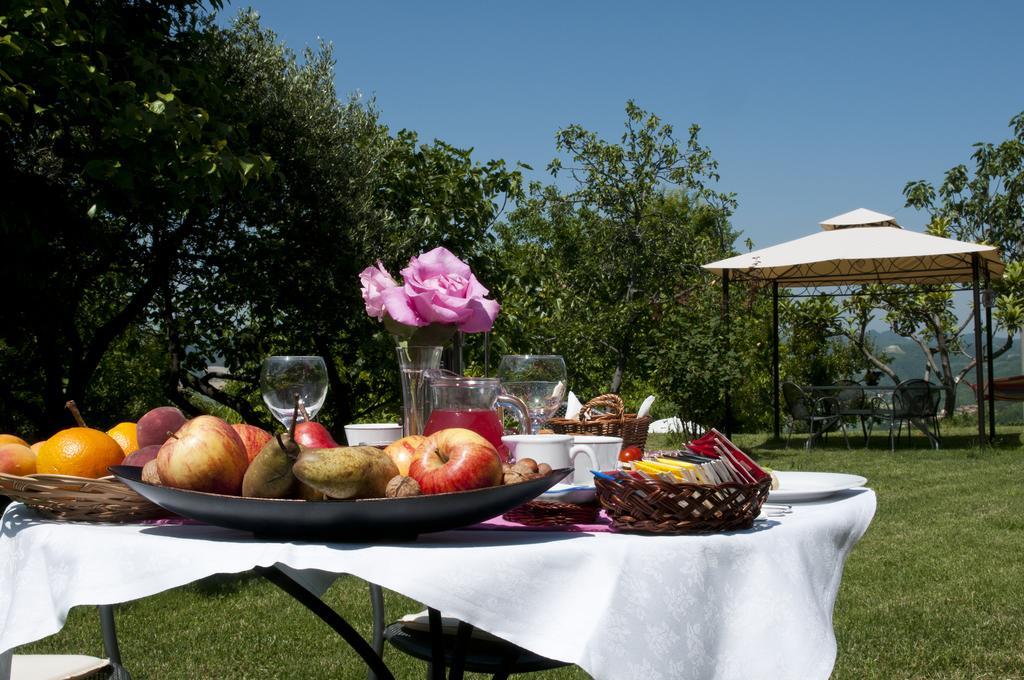 Cascina Rosa B&B Grazzano Badoglio Extérieur photo